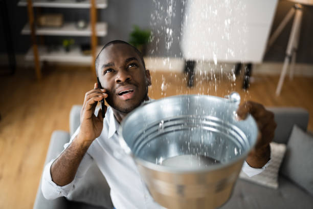 Reliable St Johns, AZ Water damage restoration Solutions