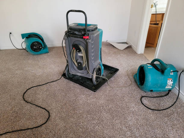 Best Local water damage restoration  in St Johns, AZ