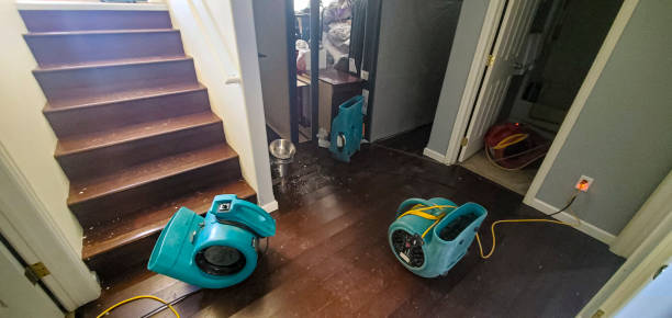 Best Water damage mitigation services  in St Johns, AZ