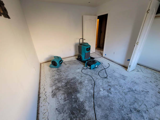Best Commercial water damage restoration  in St Johns, AZ