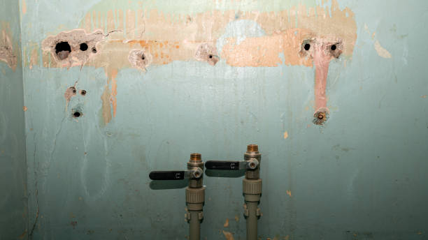 Best Carpet water damage restoration  in St Johns, AZ