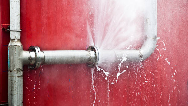 Best Mold removal after water damage  in St Johns, AZ