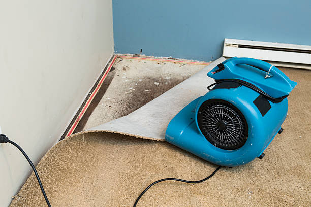 Best 24-hour water damage restoration  in St Johns, AZ